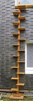 Image result for Free Plans Outdoor Cat Ladder