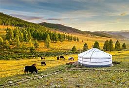 Image result for Mongolian Images