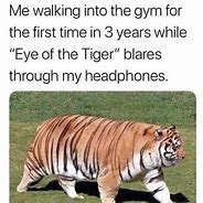 Image result for Need to Get Back to the Gym Meme