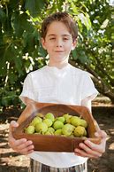 Image result for Picking Fruits Teenagers