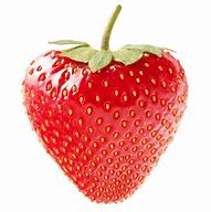 Image result for strawberry photos