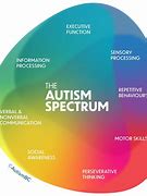 Image result for Autism Phenotype