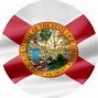 Image result for FL State Flag