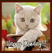 Image result for Happy Monday Baby Animals