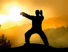 Image result for Tai Chi Yuen