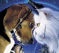 Image result for Cats & Dogs Movie