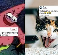 Image result for Top Funny Memes 2018