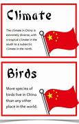 Image result for China Facts for Kids
