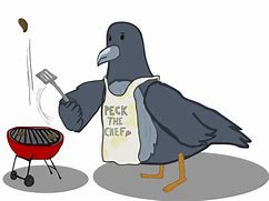 Image result for Gordon Ramsay Pigeon Meme