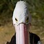 Image result for Pelican Head
