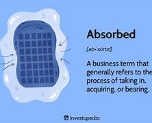 Image result for absorbed