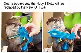 Image result for Otter 841 Memes