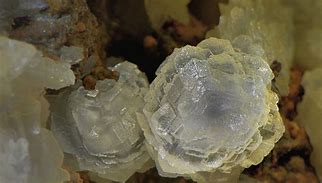 Image result for Common Geodes