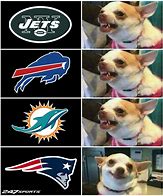Image result for Miami Dolphins Memes Funny