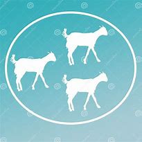 Image result for Cattle Farming in Kenya