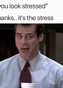 Image result for Stress Relief Meme