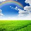 Image result for Rainbow iPhone 6 Backgrounds