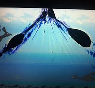 Image result for Dell Laptop Screen Broken