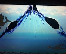 Image result for Picture of Broken Laptop Screen Windows 1.0