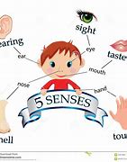Image result for Free Printable Five Senses Activities