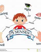 Image result for Five Senses Cards