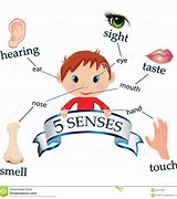 Image result for 5 Senses Poem Kindergarten