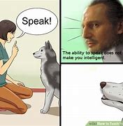 Image result for wikiHow Dog Meme