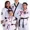 Image result for most effective martial arts