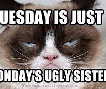 Image result for Its Tuesday Quotes Funny