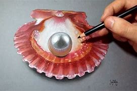 Image result for Clam Shell with Pearl Drawing