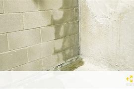 Image result for Damp/Wet Basement Fix