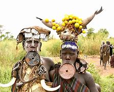 Image result for african0