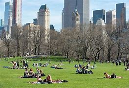 Image result for New York New York weather