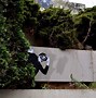 Image result for Black and White Street Art