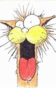 Image result for Crazy Cat Cartoon