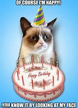 Image result for Grumpy Cat Happy Birthday Cartoon