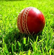 Image result for Cricket Toys