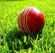 Image result for Cricket 07 Download