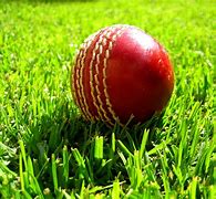 Image result for Cricket Logo