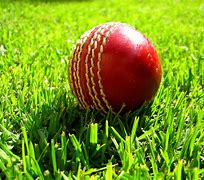 Image result for Cartoon Cricket Images Wallpaper