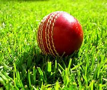 Image result for Cricket Ground