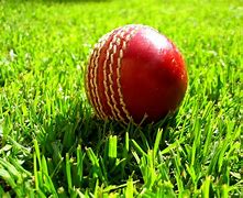 Image result for Cricket Ball