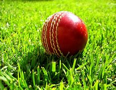 Image result for Cricket Ball and Stumps