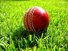 Image result for Cricket Bat Ball