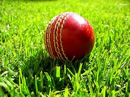 Image result for Cricket Ground Equipment