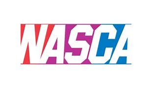 Image result for NASCAR 14 Logo