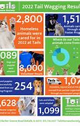 94002 Animal Shelters & Humane Societies 的图像结果