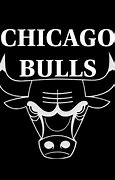 Image result for Chicago Bulls Logo White