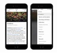 Image result for Mobile Wikipedia
