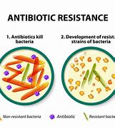 Image result for Antibiotic Resistance